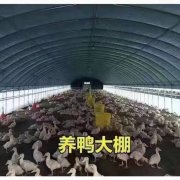 能够为客户提供持续的软