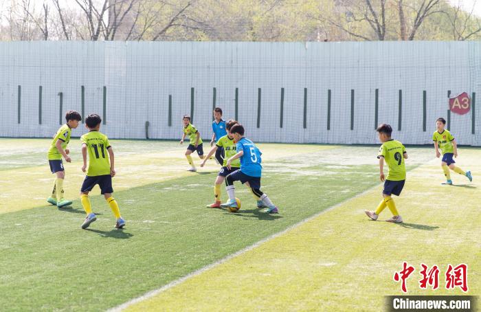 2024年天津站鲁能杯全国少儿足球邀请赛圆满落幕